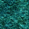 https://www.saltwateritaly.com/t-shirt-tecnica-mc-airflow-tropical-reef